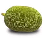 Jackfruit<br>(600-750 gm)