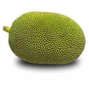 Jackfruit<br>(600-750 gm)