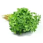 Fenugreek<br>250 gm