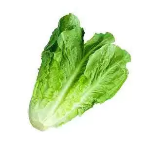 Lettuce<br>(80-100 gm)