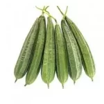 Ridge Gourd<br>500 gm