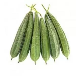 Ridge Gourd<br>500 gm