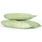 Snake Gourd<br>500 gm