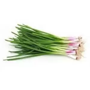 Spring Onion<br>200 gm