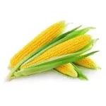 Sweet Corn<br>2 Pcs