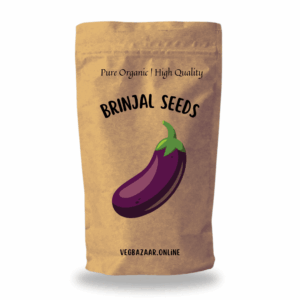 Brinjal Seeds<br>(80-100 Nos.)