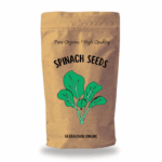 Spinach Seeds<br>(80-100 Nos.)