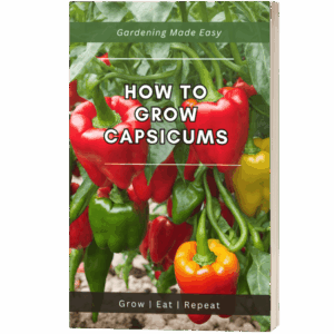 How to Grow Capsicums Ebook