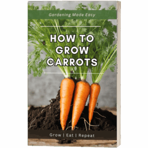 How to Grow Carrots Ebook