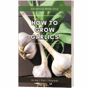 How to Grow Garlics Ebook