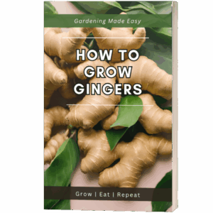 How to Grow Gingers Ebook