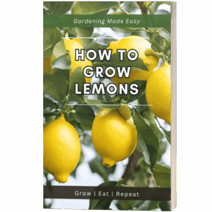 How to Grow Lemons Ebook