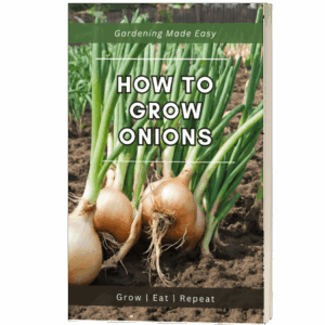 How to Grow Onions Ebook