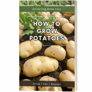 How to Grow Potatoes Ebook
